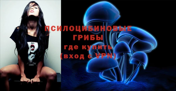 дмт Абдулино