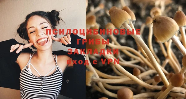 гашиш Абаза