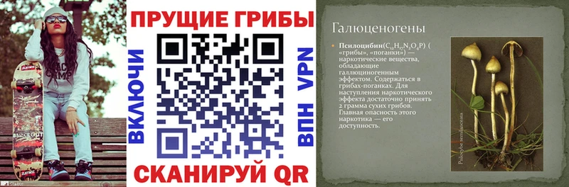 Галлюциногенные грибы Magic Shrooms  Полярный 